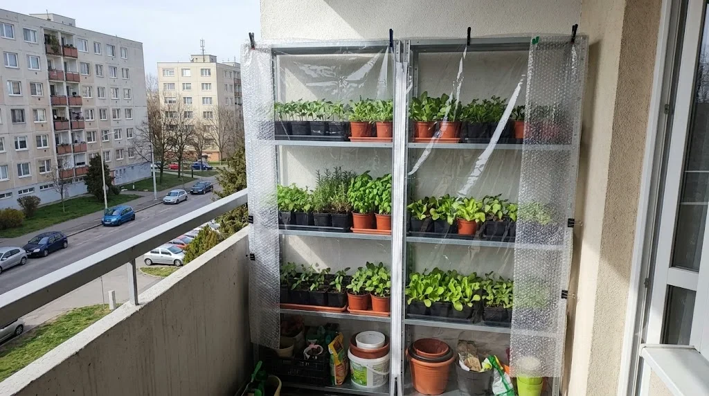 erkélyi polcrendszer fóliafüggönnyel letakarva, mini üvegház őszi termesztéshez
