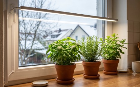 Egy modern, letisztult, lineáris fehér fényt kibocsátó növénynevelő LED lámpa világít közelről egy konyhai ablakpárkányon sorakozó friss cserepes fűszernövények felett.