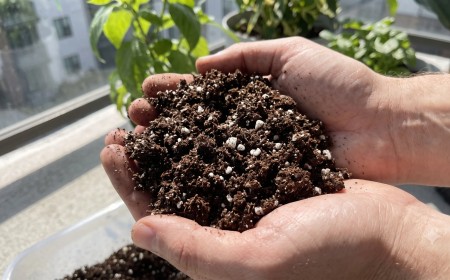 Egy balkonkertész sötétbarna, rendkívül laza és morzsalékos földkeveréket tart a markában, amelyben jól látszanak a fehér perlit szemcsék.