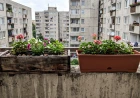 Erkélyláda anyagok összehasonlítása: fa, műanyag, fém vagy beton?