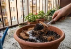 Termőföld-adalékok összehasonlítása: kókuszrost, perlit, vermikulit és a tőzegmoha-helyettesítők