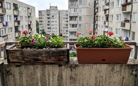 Erkélyláda anyagok összehasonlítása: fa, műanyag, fém vagy beton?